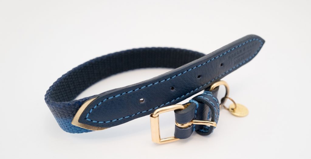 Mulberry dog collar & lead - Blue & gold