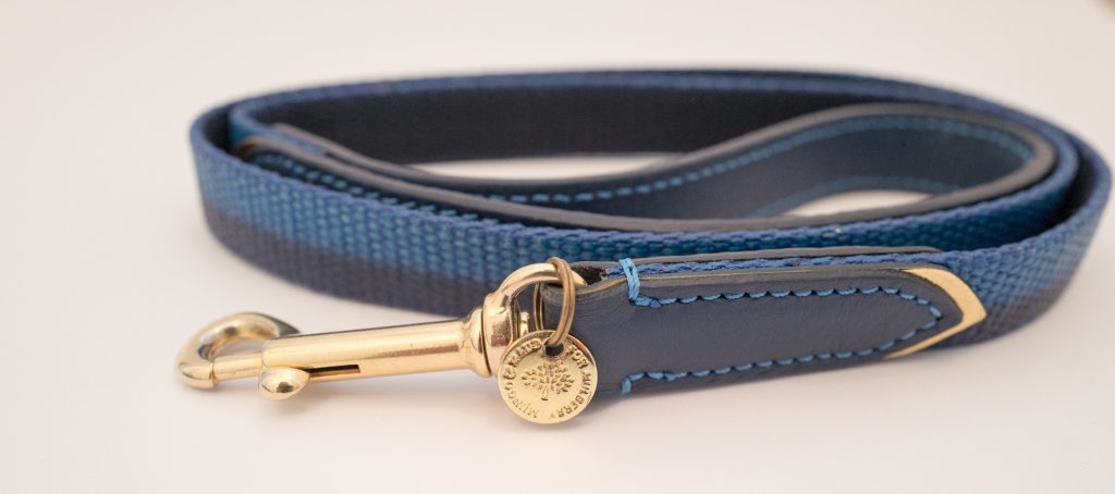 Mulberry dog collar & lead - Blue & gold