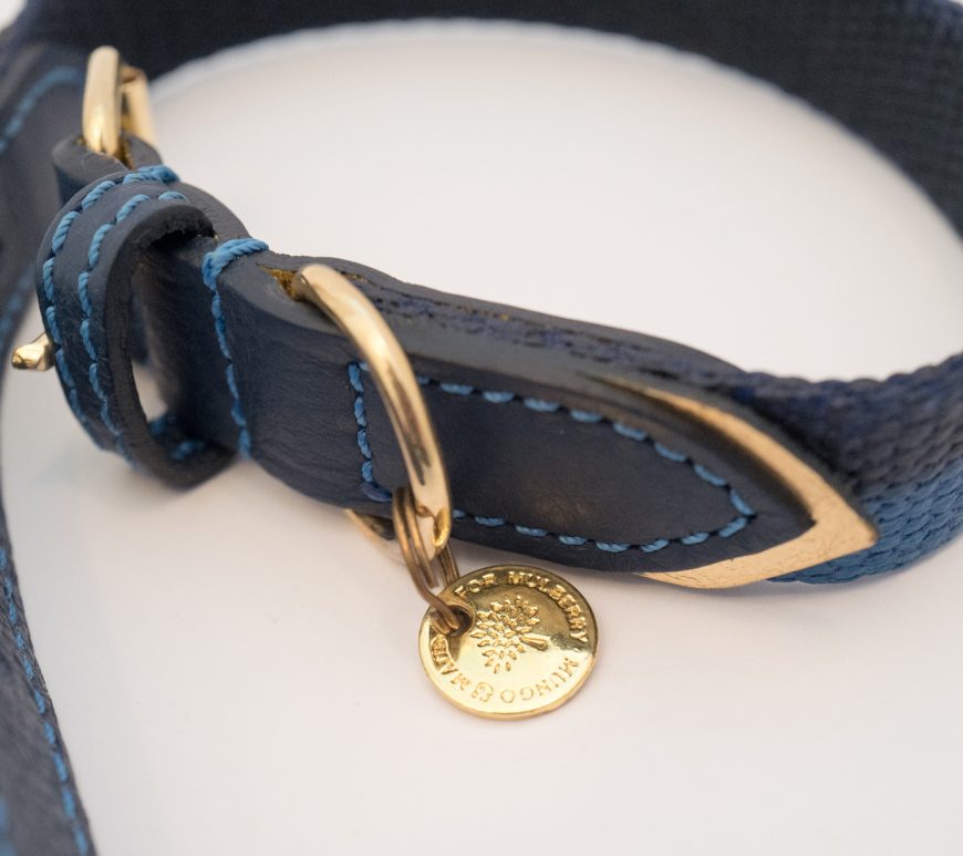 Mulberry dog collar & lead - Blue & gold