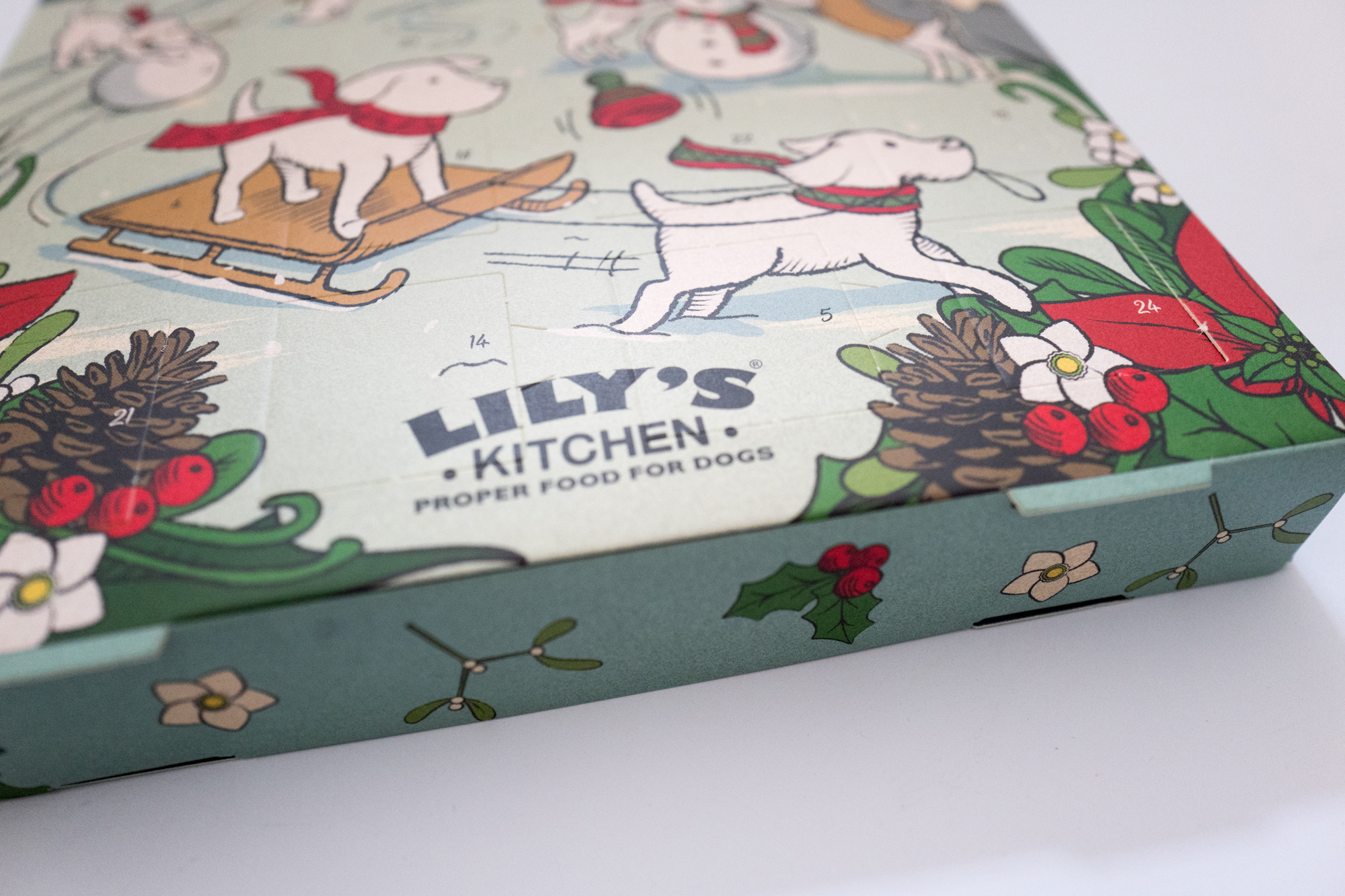 Lily’s kitchen Dog advent calendar Retro Gym Geek
